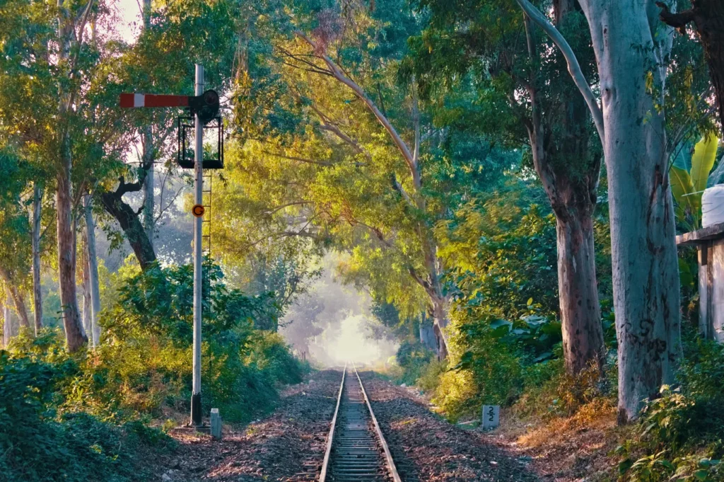 Railway trek